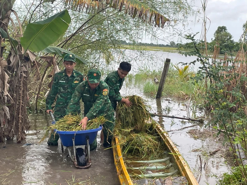 Bộ đội giúp dân khắc phục hậu quả mưa lũ