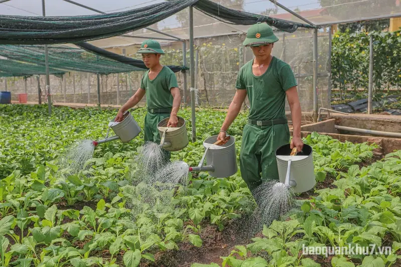Thực túc binh cường ở Sư đoàn 309
