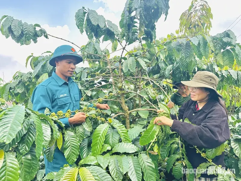 Chiến sĩ dân quân M’Nông hết lòng vì dân