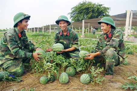 Sư đoàn 5 - Đẩy mạnh tăng gia sản xuất, nâng cao đời sống bộ đội