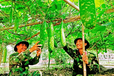 Bữa cơm chiến sĩ