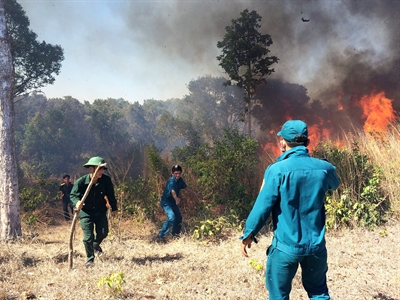 LLVT huyện Xuyên Mộc (BR-VT) đi đầu trong công tác bảo vệ môi trường