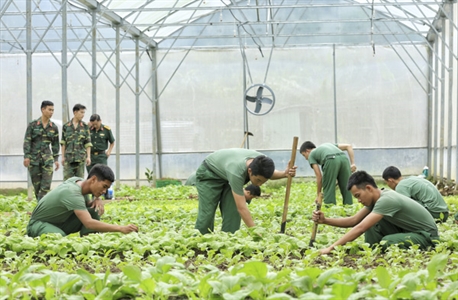 LLVT tỉnh BR - VT: Tạo nguồn thực phẩm sạch cho bữa ăn của bộ đội