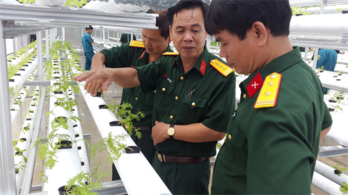 Bộ CHQS tỉnh Bình Dương đánh giá kết quả dự án tăng gia sản xuất giai đoạn 2015-2020