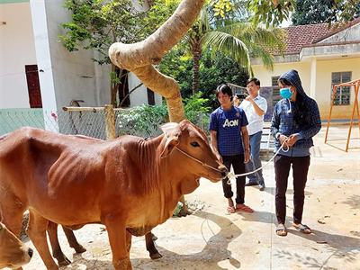 Bình Phước giúp dân thoát nghèo bền vững