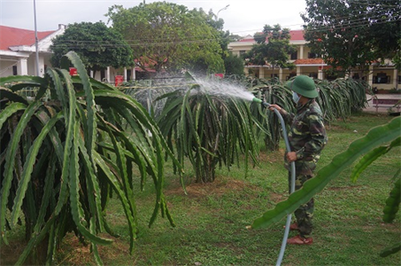 Ban CHQS huyện Hàm Thuận Nam, tỉnh Bình Thuận: Điểm sáng trong công tác tăng gia sản xuất