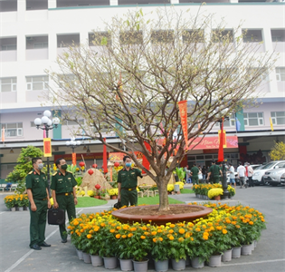 Bên sắc hoa xuân