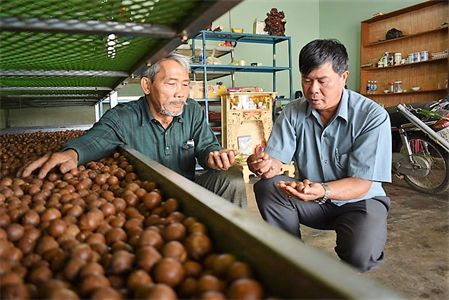 Cựu chiến binh Cao Văn Sanh, nuôi chí làm giàu