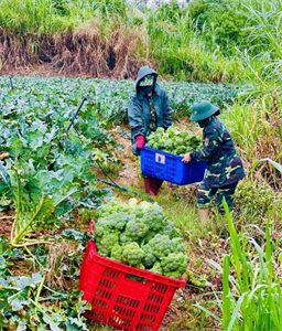 Học viện Lục quân hỗ trợ 33 tấn nông sản về vùng dịch