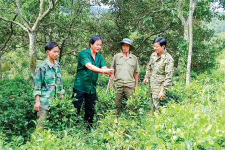 Cựu chiến binh thoát nghèo nhờ nguồn vốn vay ưu đãi