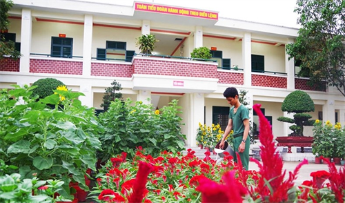Trường Sĩ quan Lục quân 2  - Rực rỡ sắc màu đường hoa thanh niên