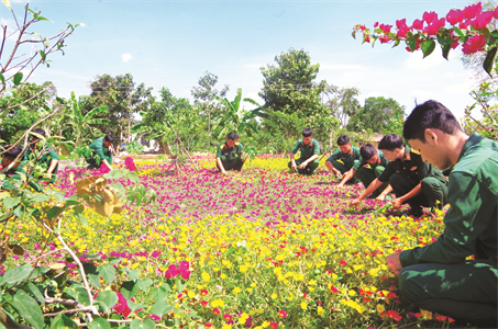 Hương sắc hoa xuân