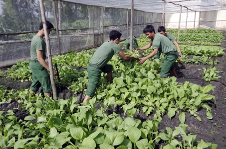 Đại đội vùng biên tăng gia sản xuất giỏi