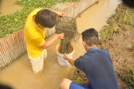 Mô hình nuôi cua đồng ở Ban chỉ huy quân sự xã Tân An