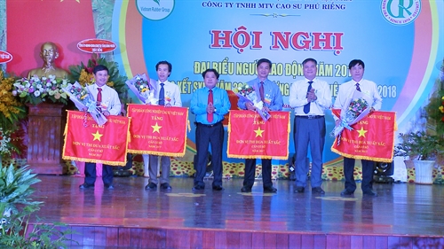 Công ty Cao su Phú Riềng:
Năng suất vườn cây đạt bình quân 2,34 tấn/ha, cao nhất ngành cao su Việt Nam