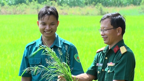 Dân quân xã An Điền, TX.Bến Cát tỉnh Bình Dương: Điển hình trong phong trào thi đua quyết thắng